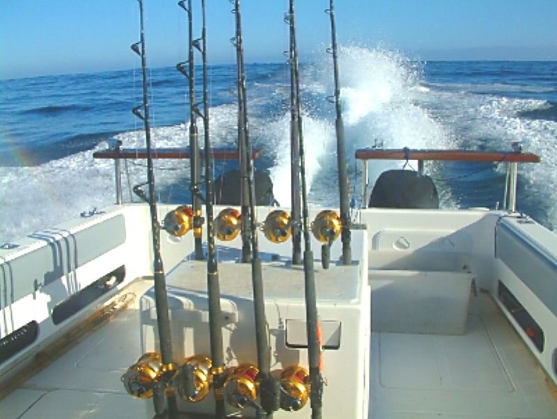 Fishing Rods on Boat — White