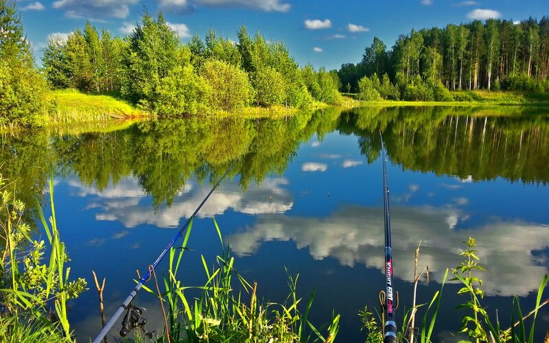 Fishing Rods on Lake Shore — Blue
