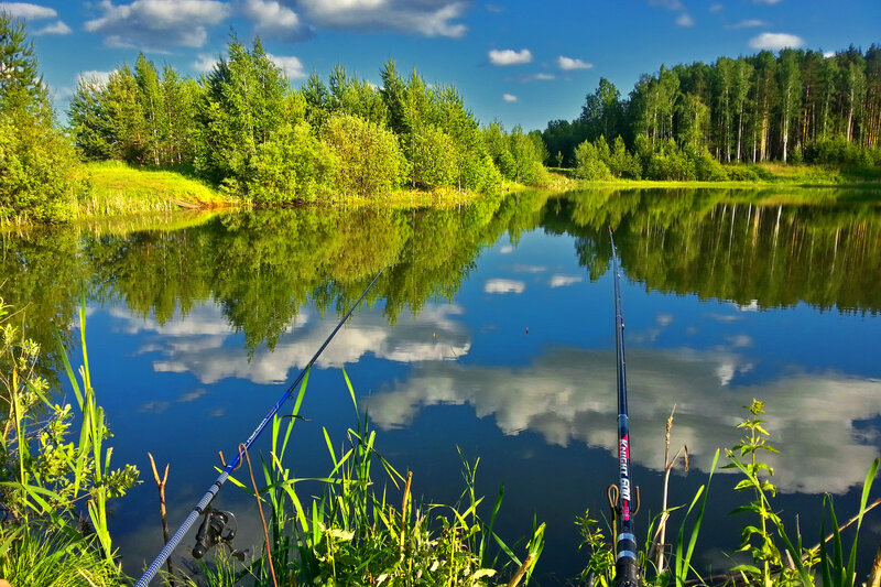 Fishing Rods on Lake Shore
