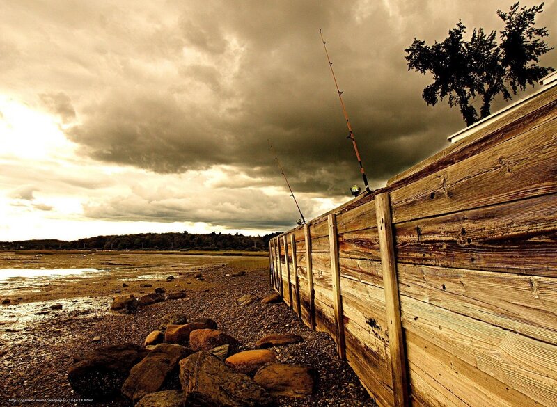 Fishing Rods on Pier