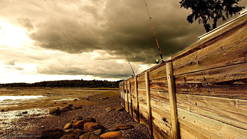 Fishing Rods on Wooden Wall — Brown