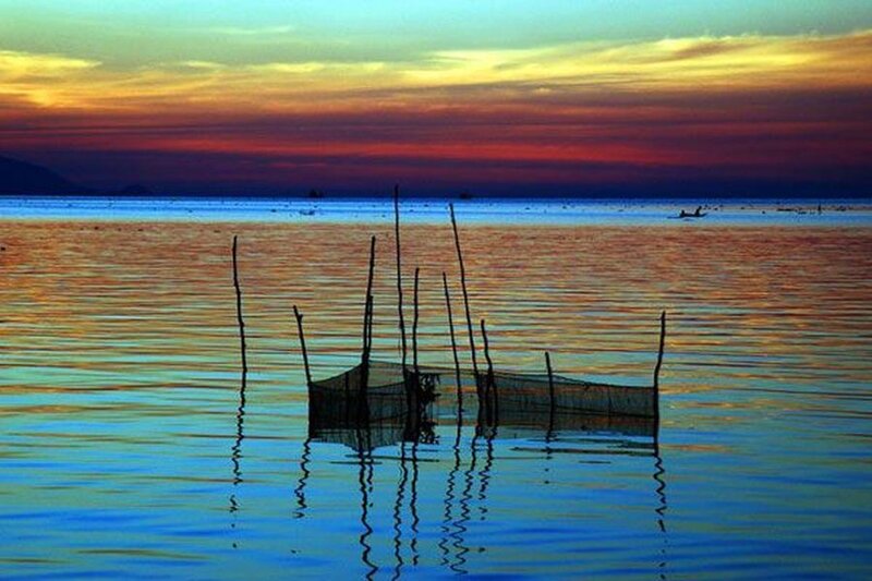 Fishing Trap in Water