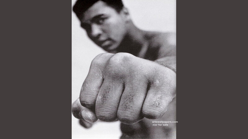 Fist of a Boxer