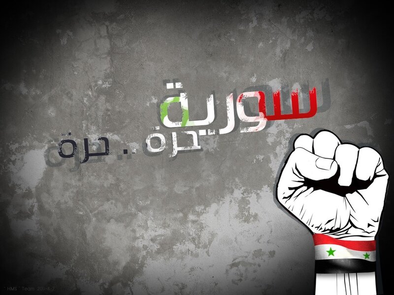 Fist with Flag — Gray