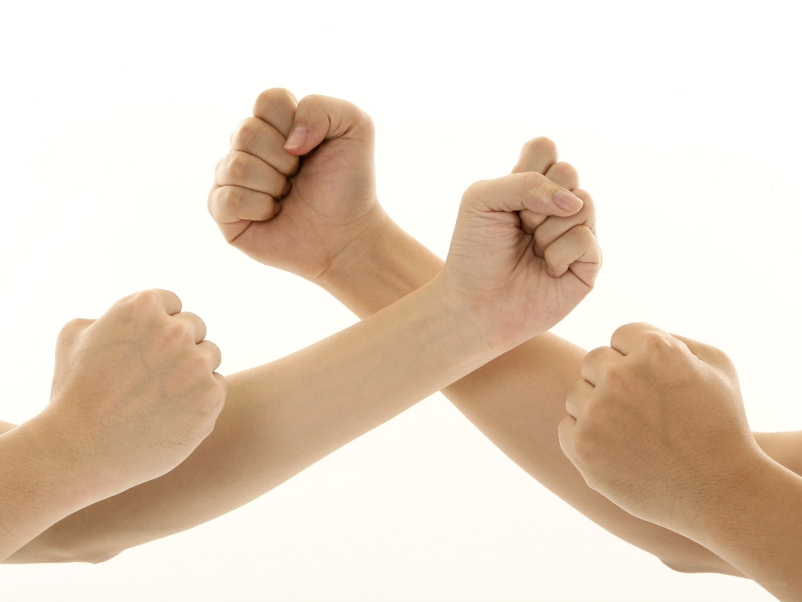 fists crossed in unity