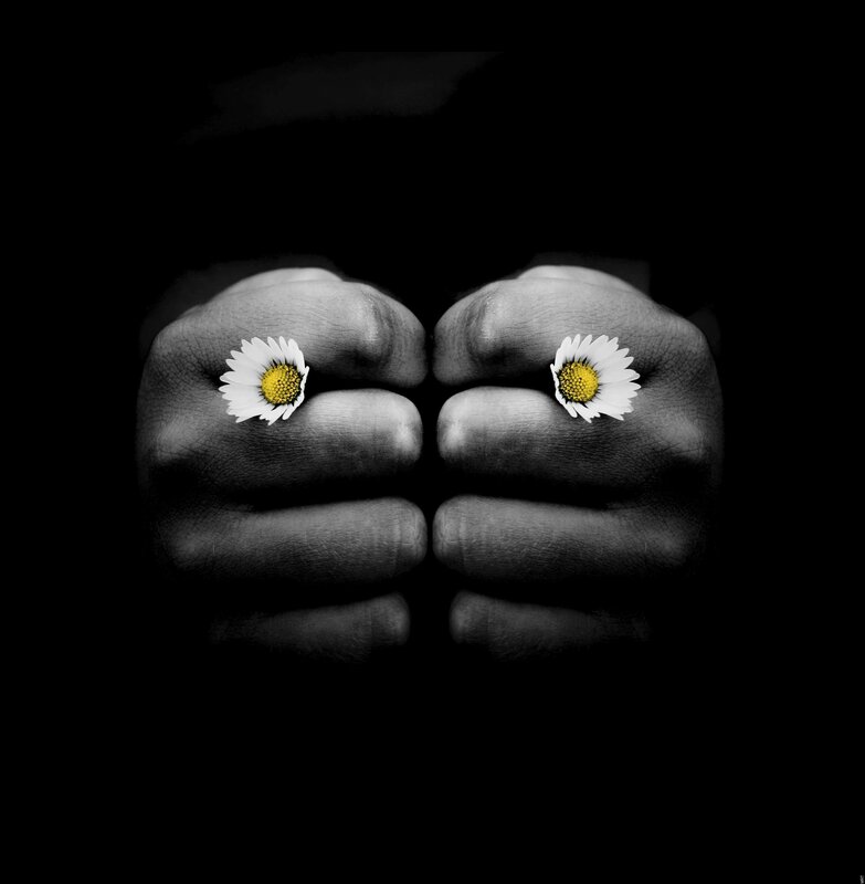 Fists with daisies