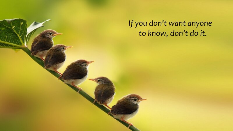 Five Baby Birds on Branch