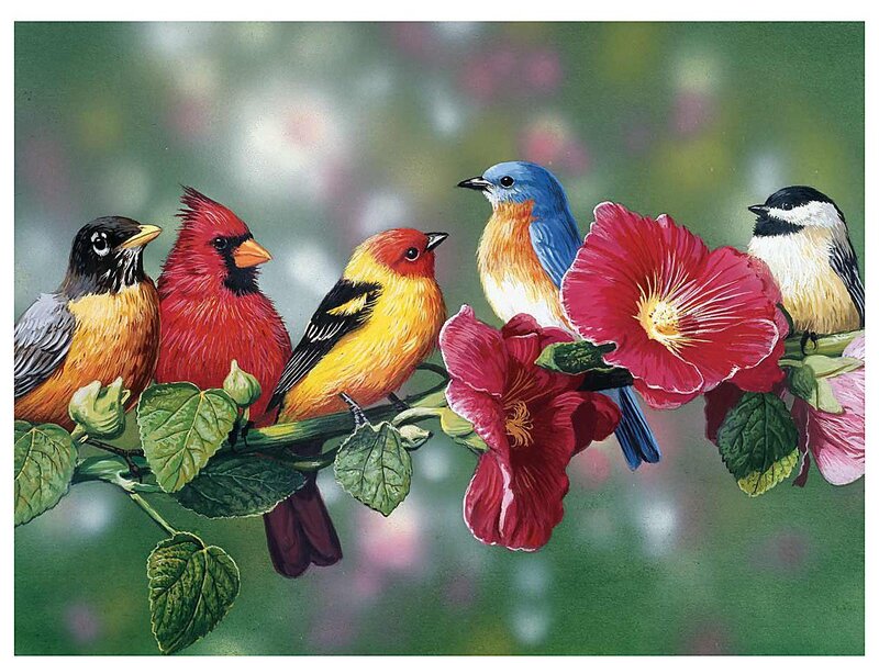 Five Birds on Branch
