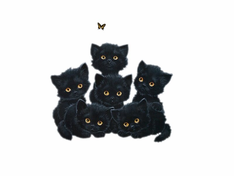 five black kittens with butterfly