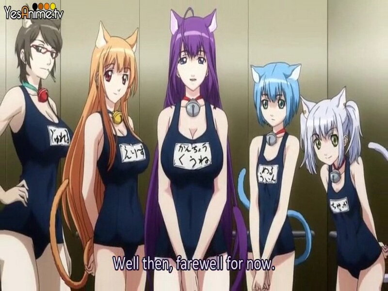 Five Cat-eared Women