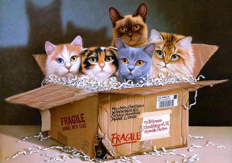 Five Cats in a Box