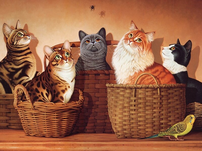 Five Cats in Baskets