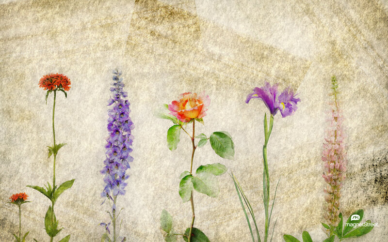 Five Flowers on Textured Background