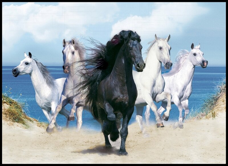 Five Horses Running — White, Dynamic