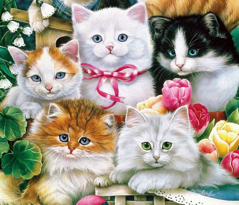 Five Kittens in Basket — White, Cheerful