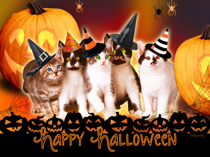 Five Kittens in Hats — Orange