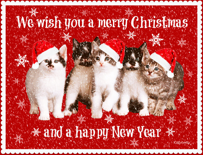 Five Kittens in Hats