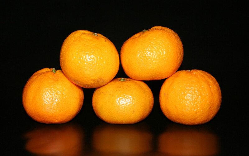 Five Oranges on Black — Orange