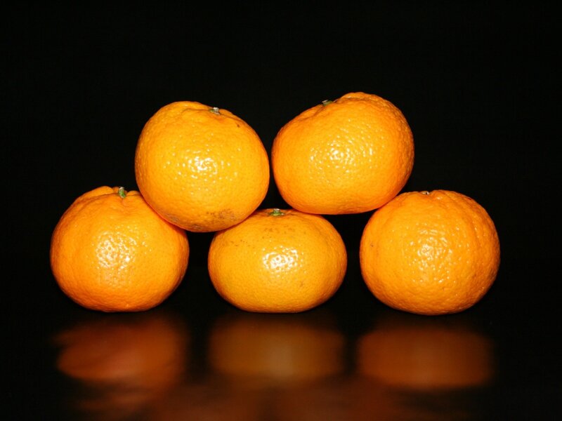 Five Oranges on Black
