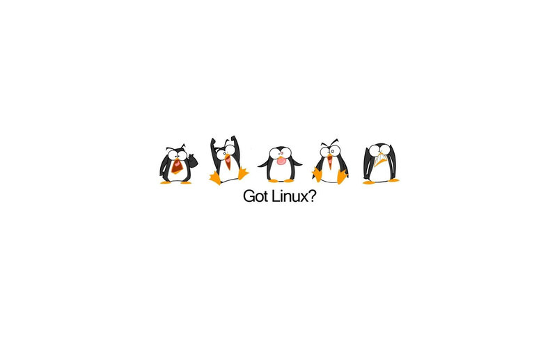 Five Penguins in a Row