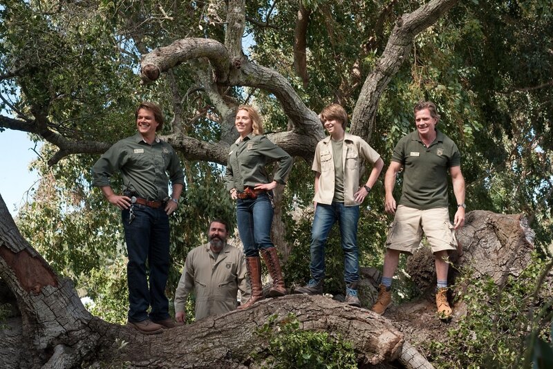 Five People on Tree Trunk