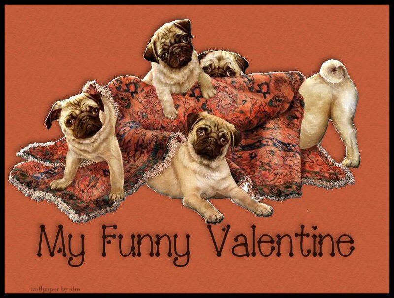 Five Pug Puppies