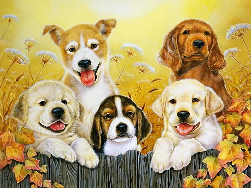Five Puppies on Fence — Yellow