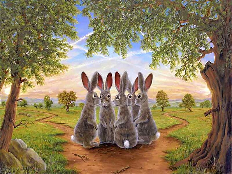 Five Rabbits on Path