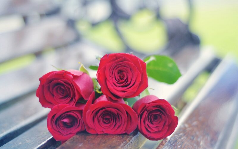 Five Red Roses