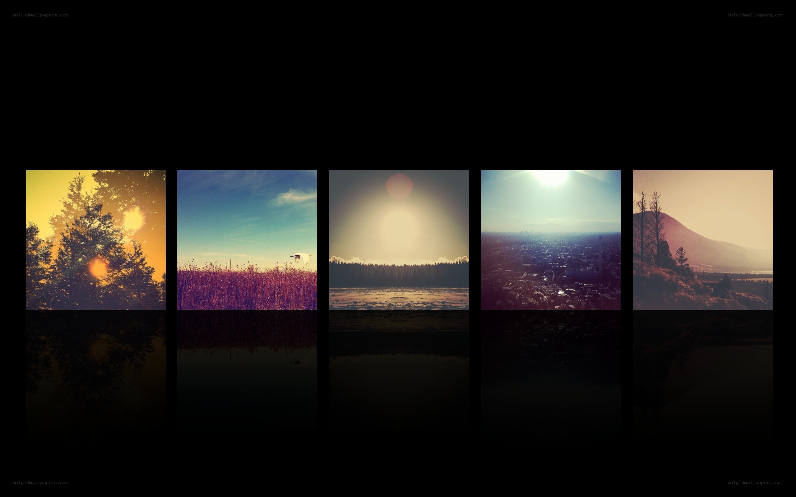 five scenic landscape panels