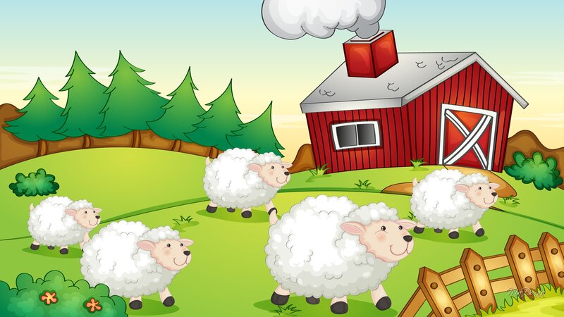 Five Sheep in Field