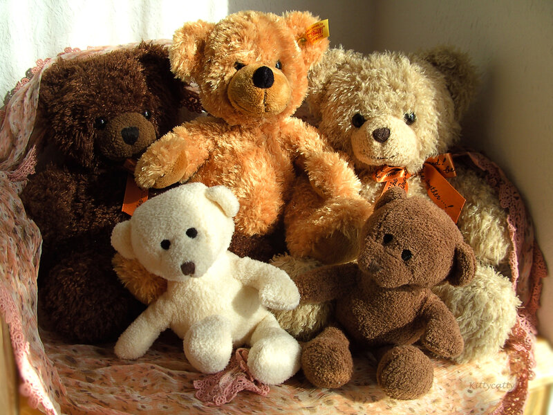 Five Teddy Bears — Brown