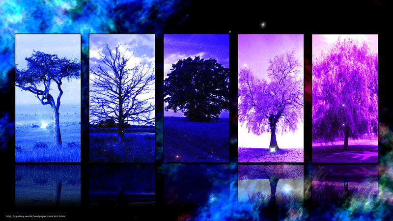 Five Trees in Color Spectrum