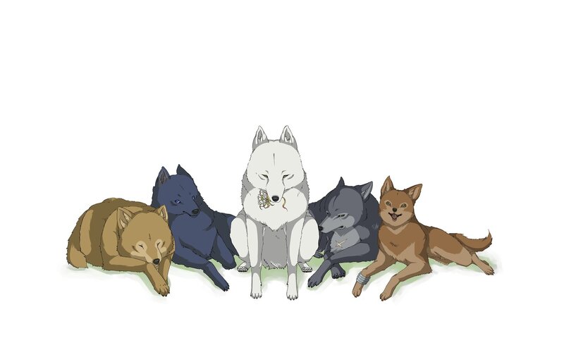 five wolves in a row