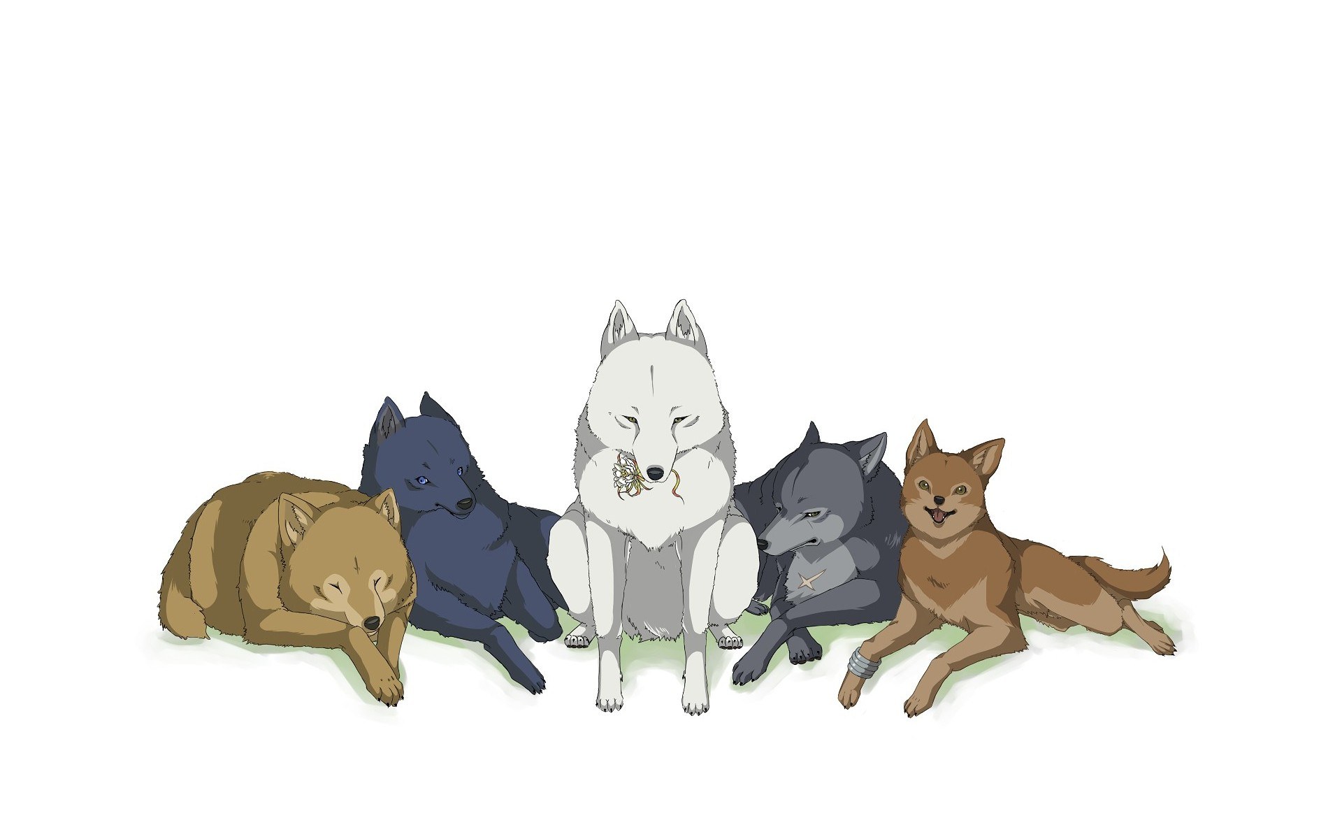 five wolves in a row