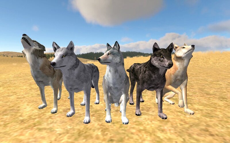 Five Wolves in Field