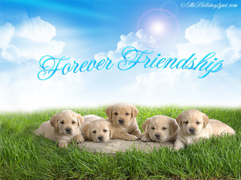 Five Yellow Lab Puppies — Green