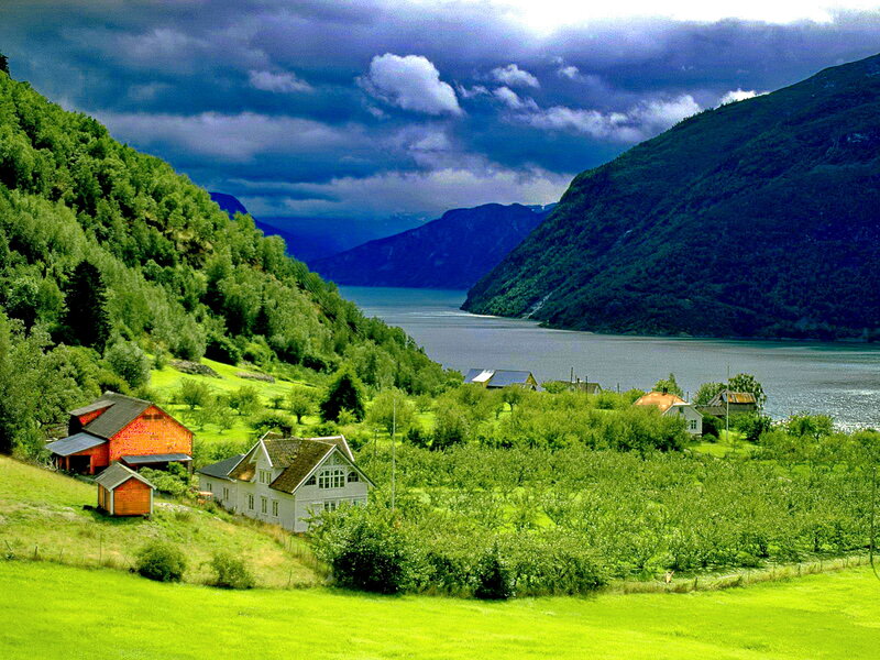 Fjord Village Landscape