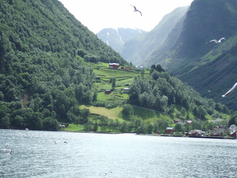 Fjord village with red houses