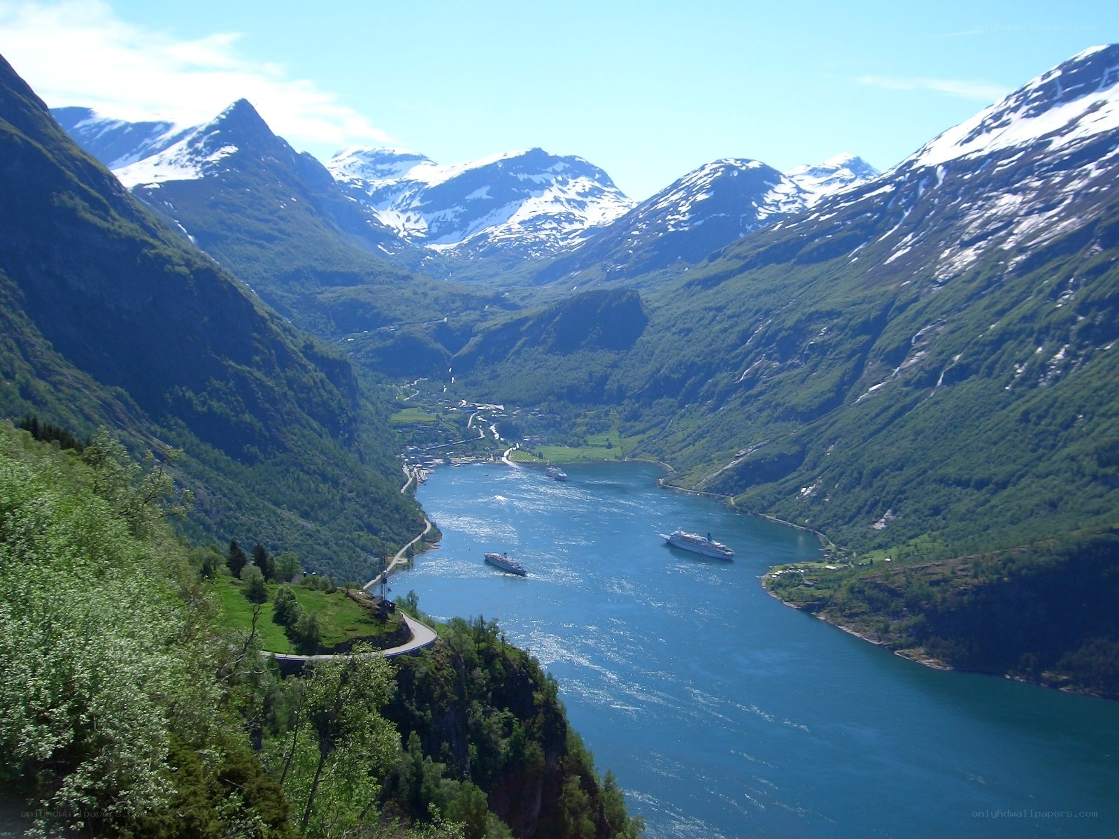 fjord with cruise ships