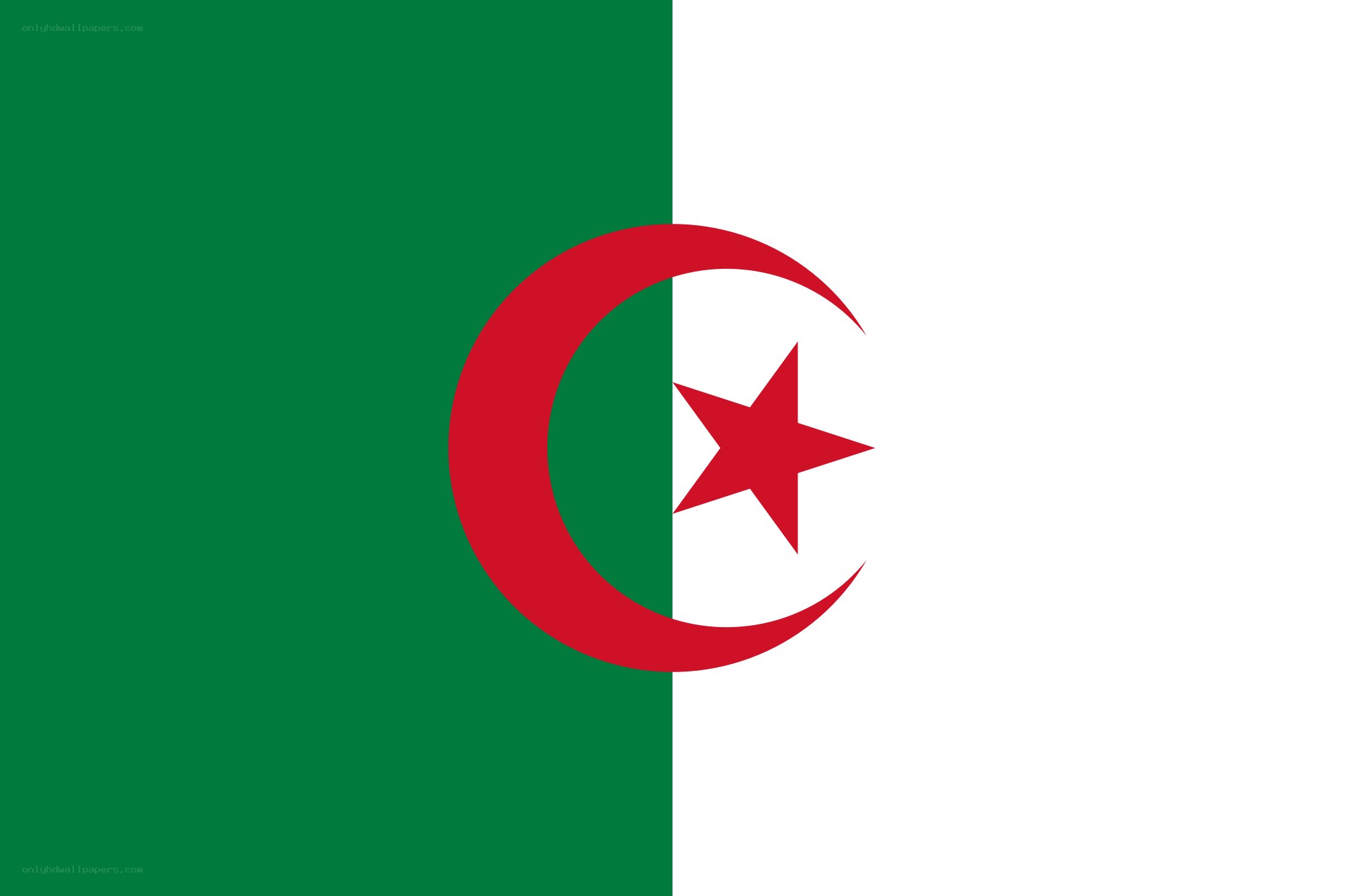 Flag of Algeria