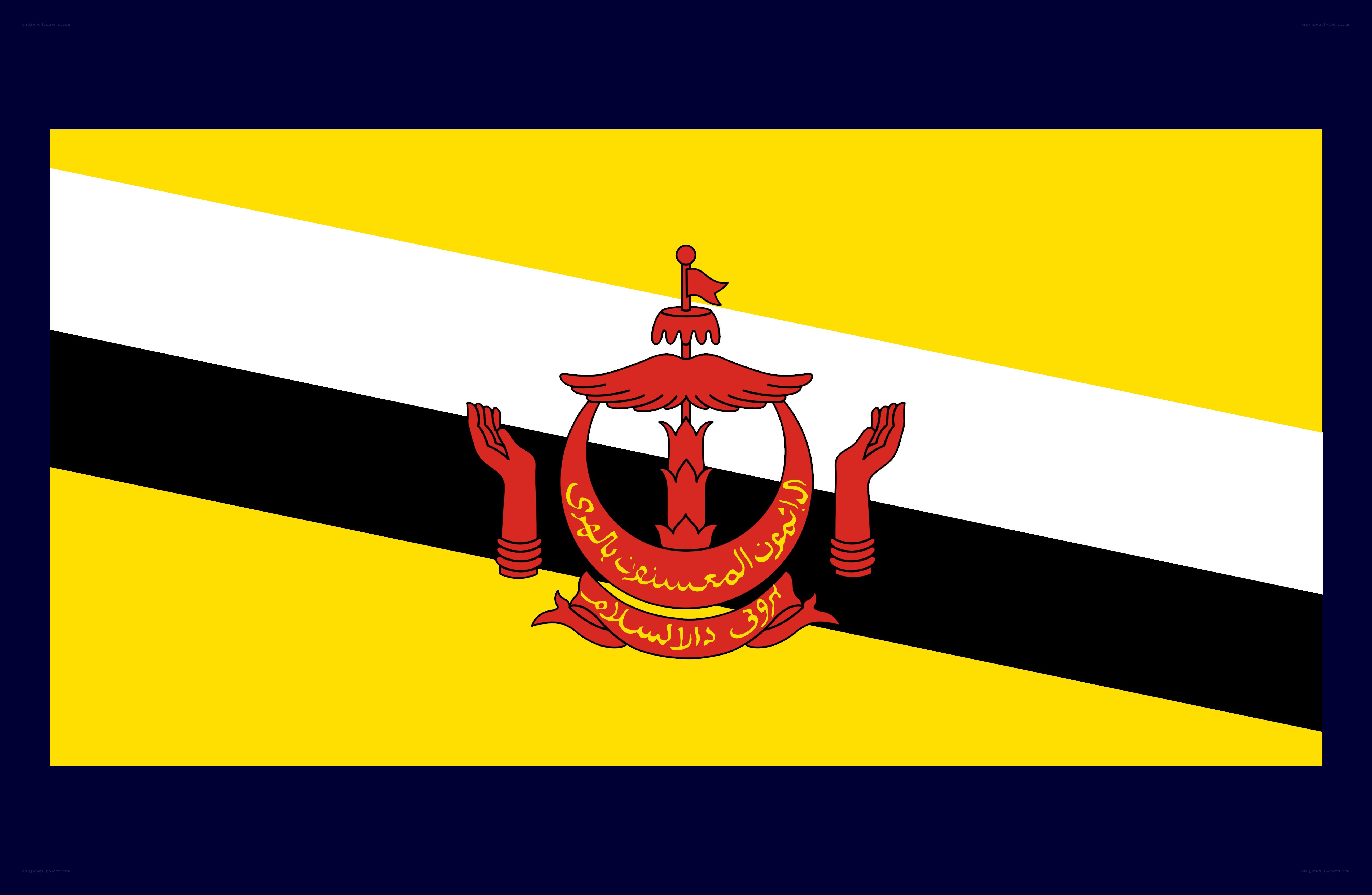 Flag of Brunei