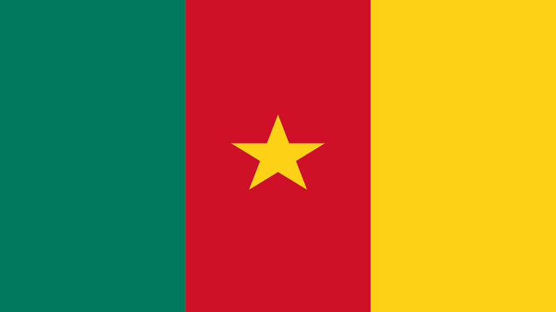 Flag of Cameroon — Green