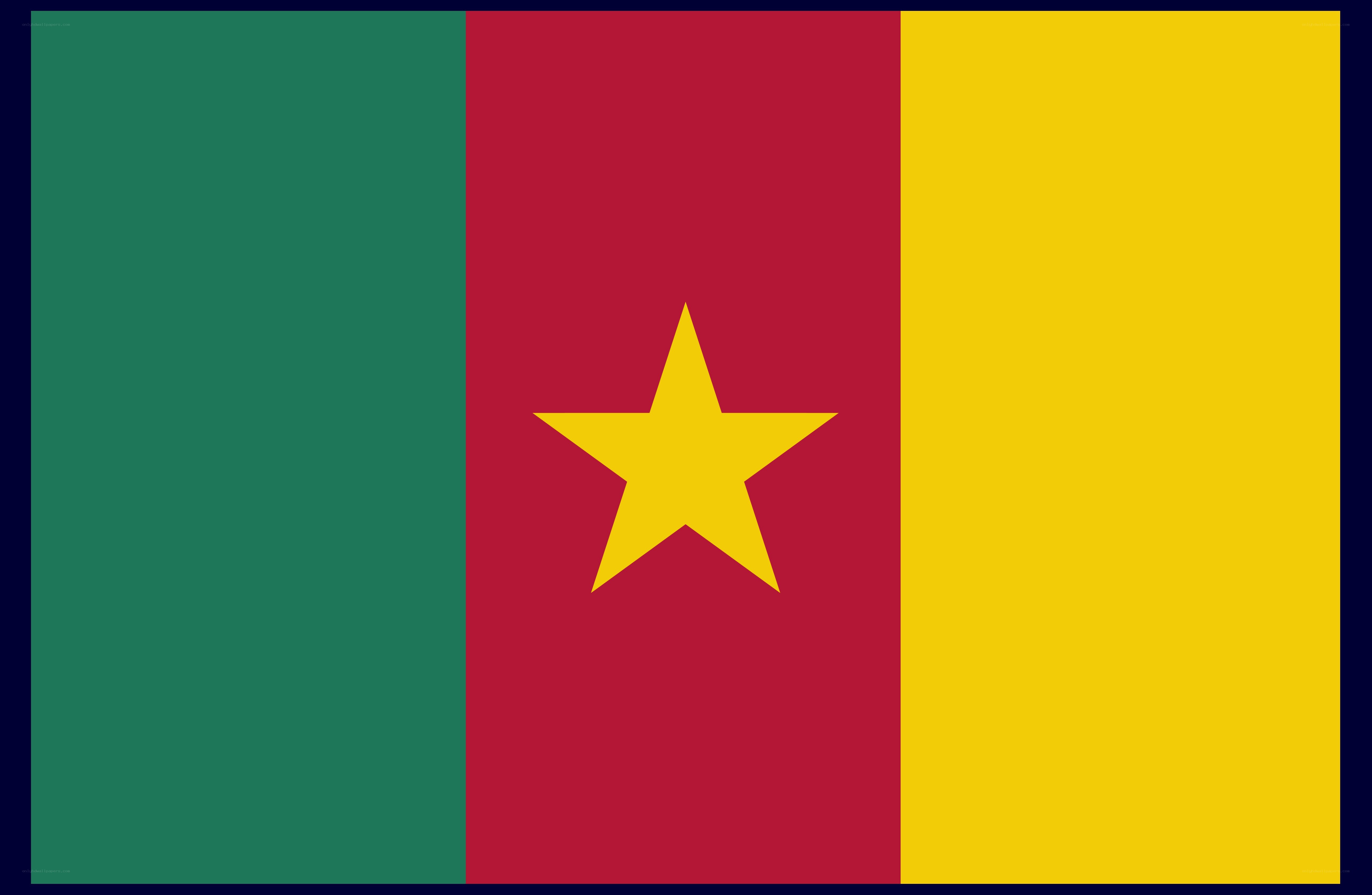 Flag of Cameroon