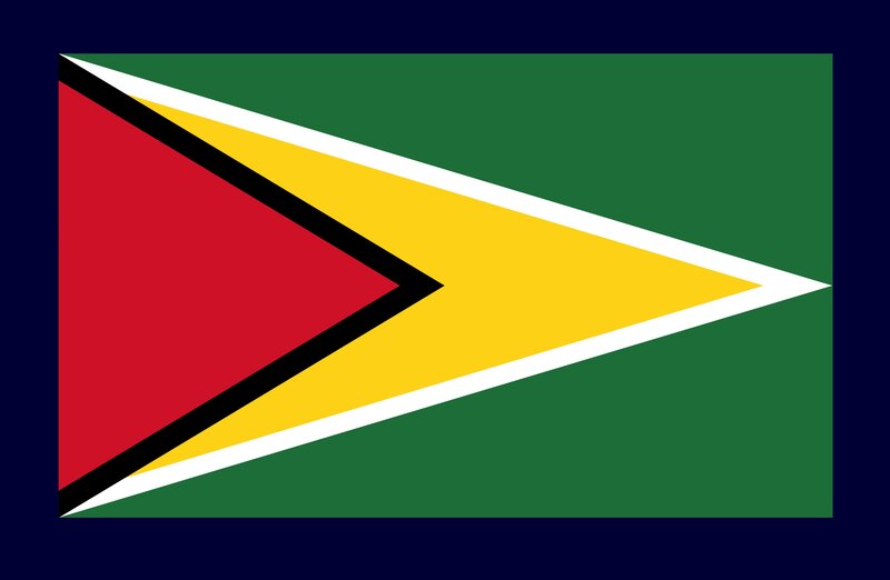 Flag of Guyana
