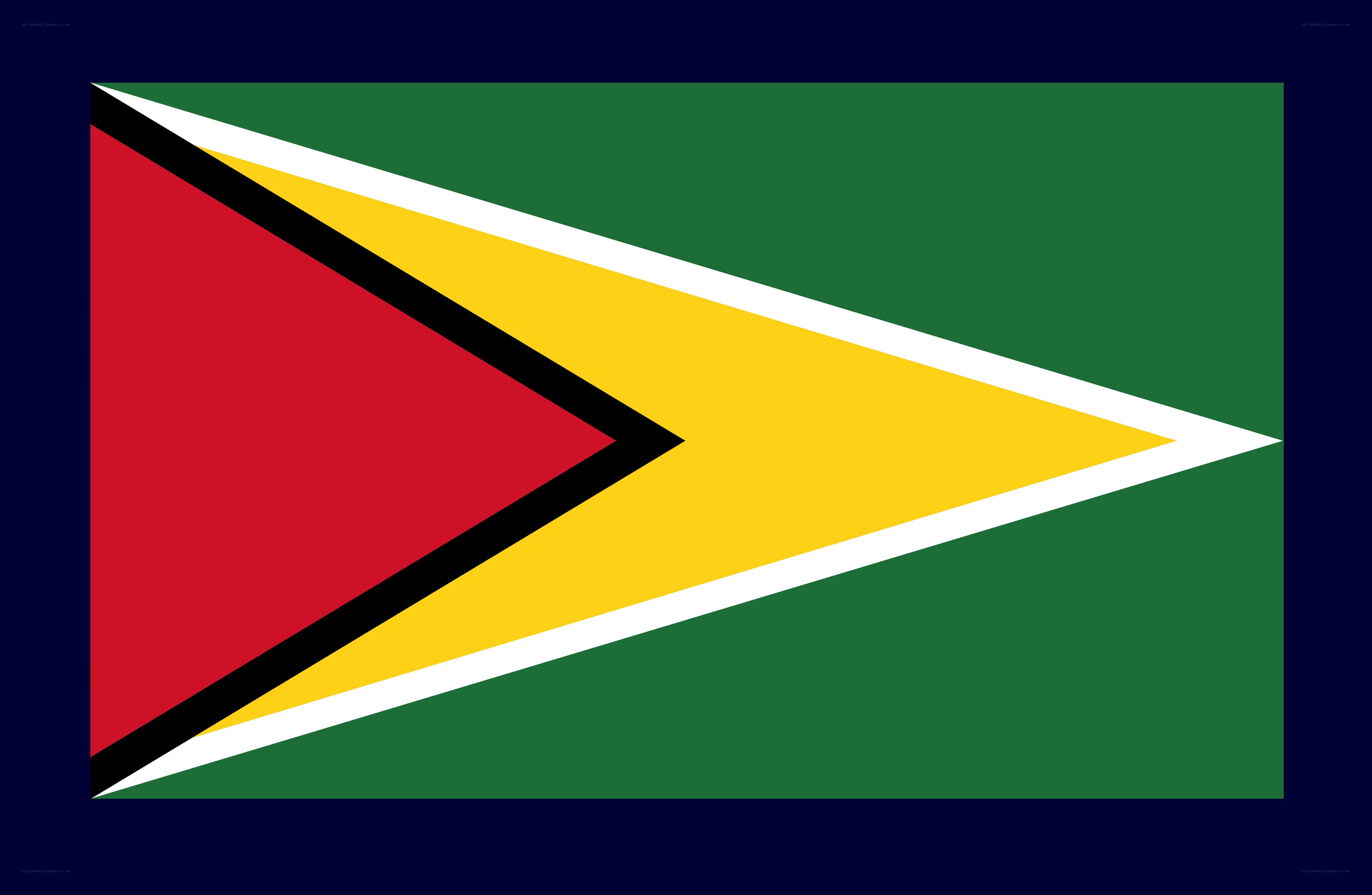 Flag of Guyana