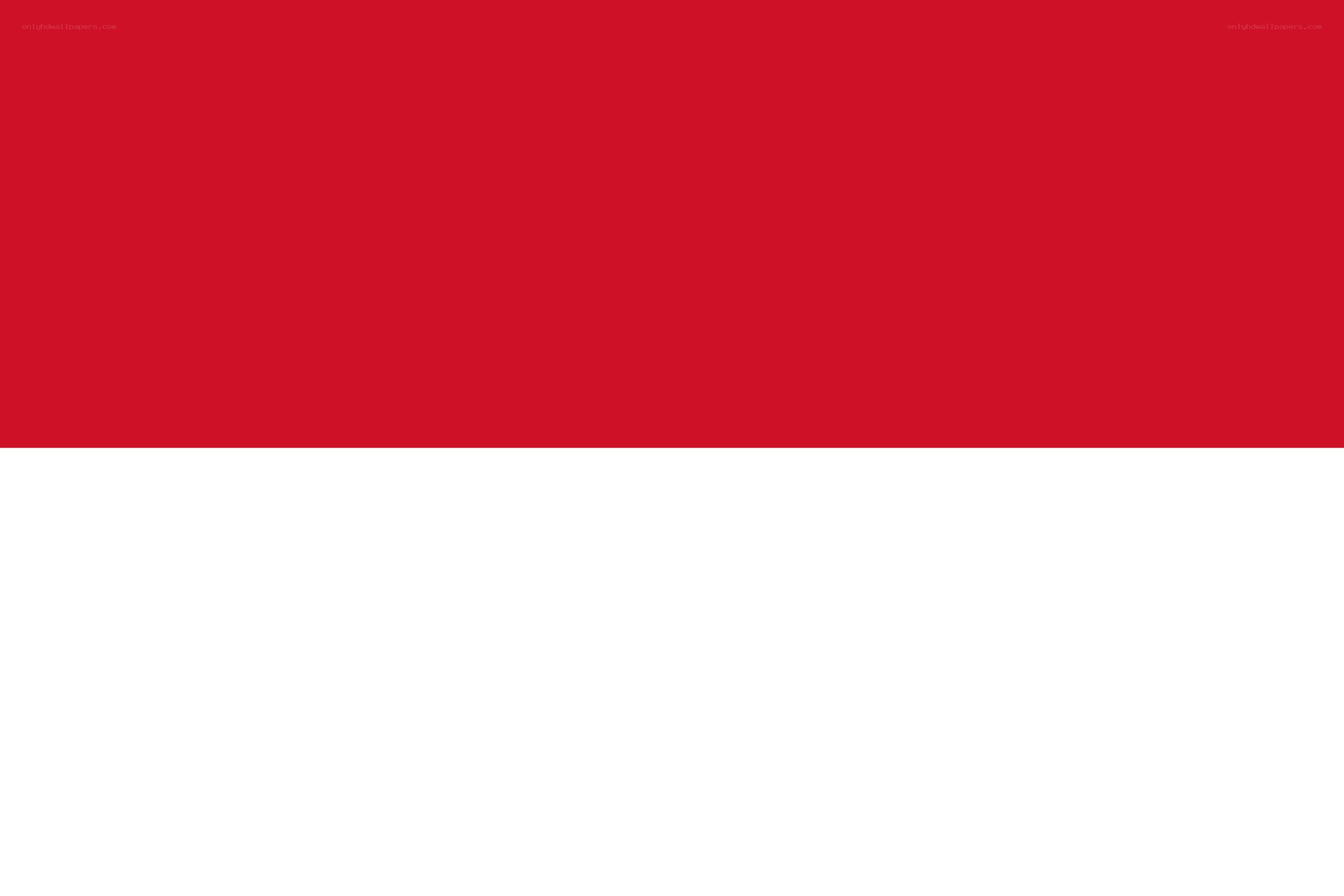 Flag of Indonesia