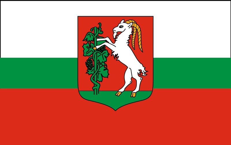 Flag of Plovdiv