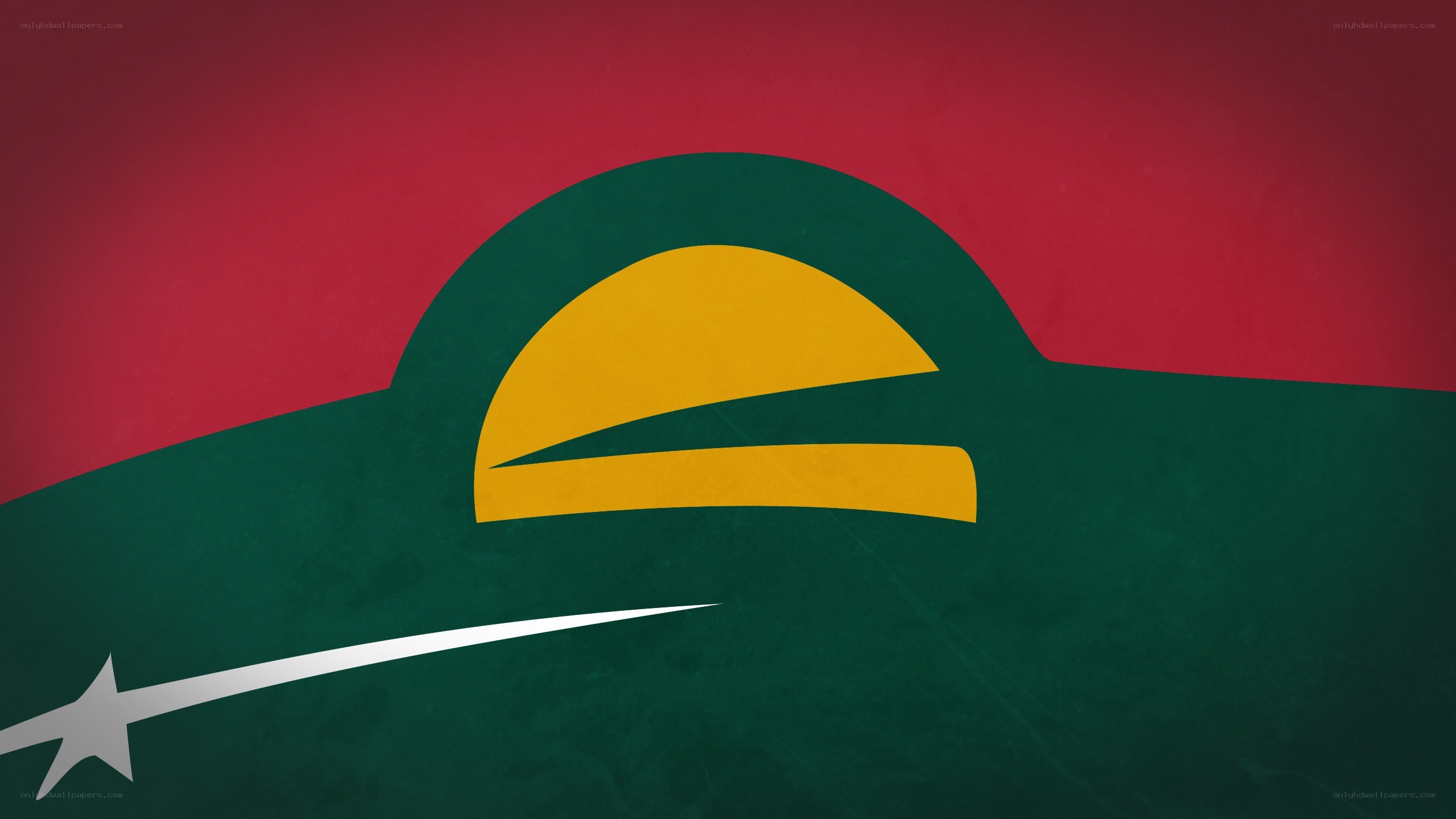 flag of the maldives