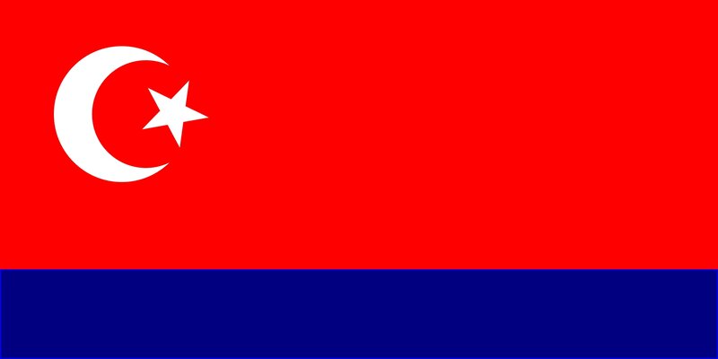 Flag with Crescent and Star
